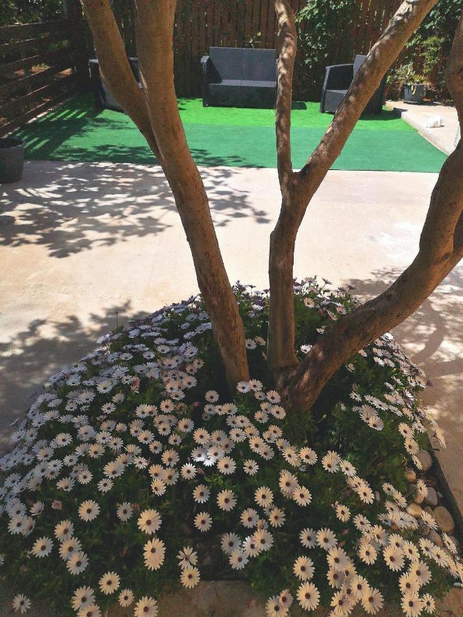 Hotel Mondello Sicily House Zewnętrze zdjęcie